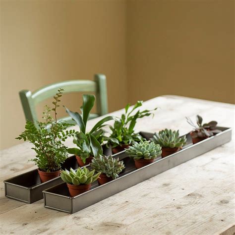 metal trays for plants